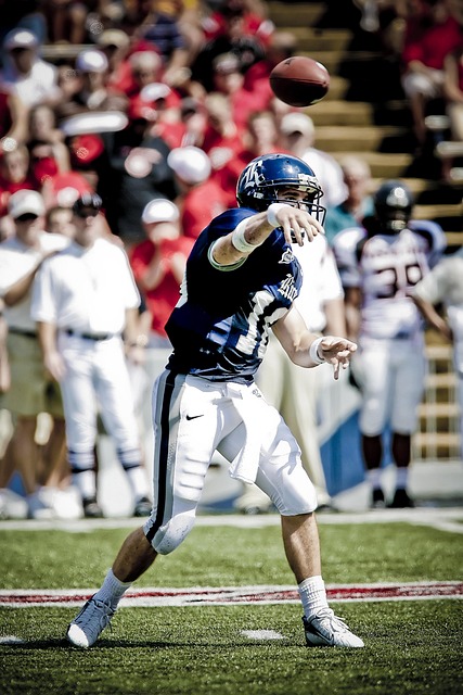 他们展现出 他们展现出