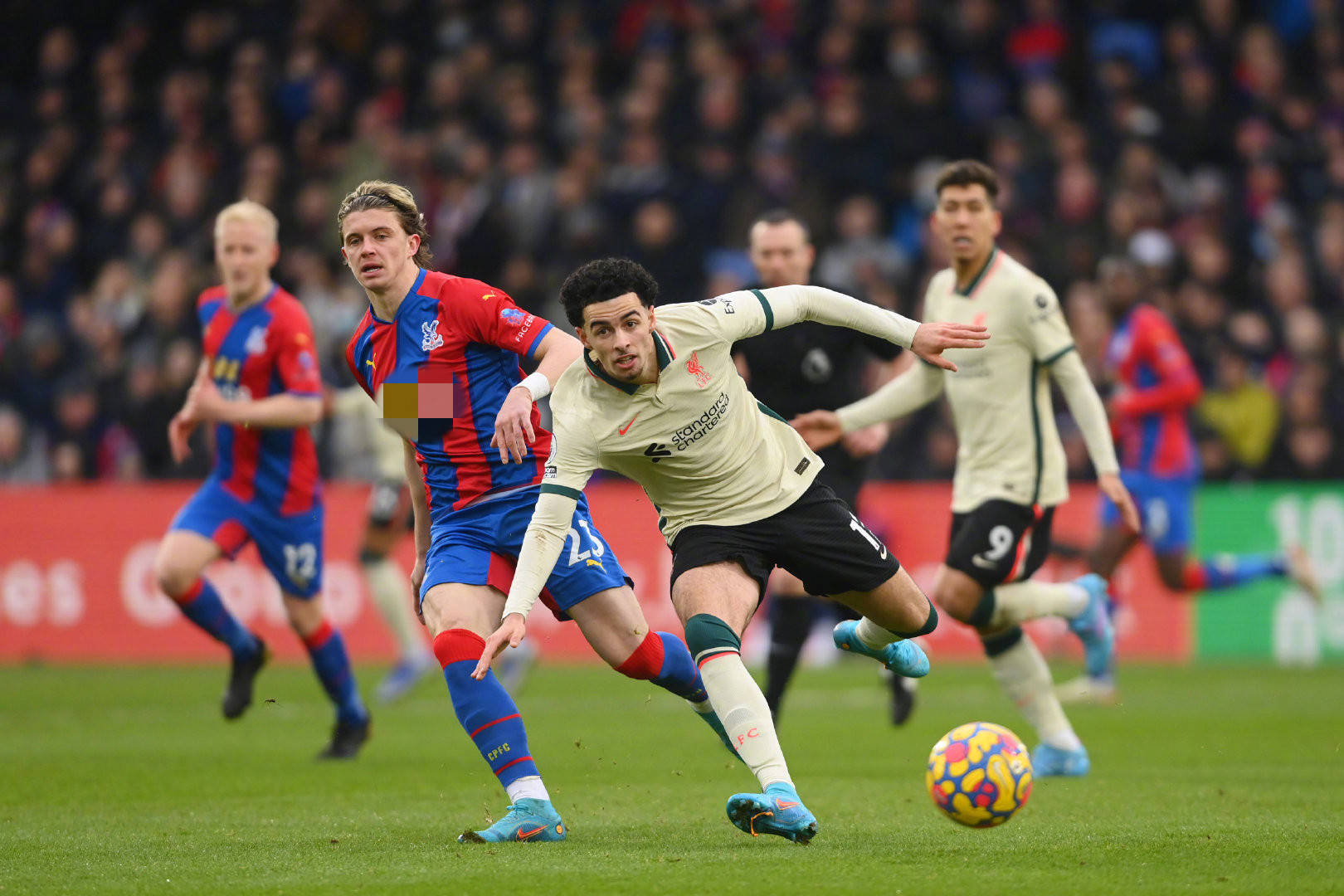 水晶宫与维 水晶宫与维